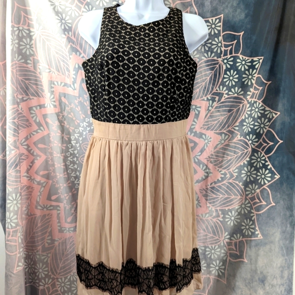 Black and Tan Lacey Dress